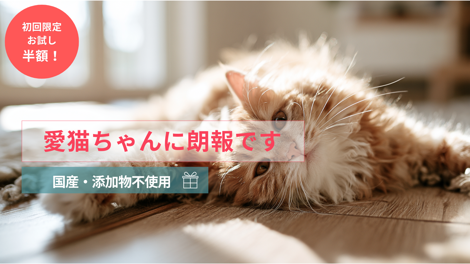 猫腸活